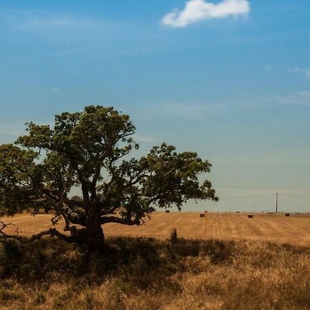 Vales Do Alentejo Pensionat Bicos Exteriör bild