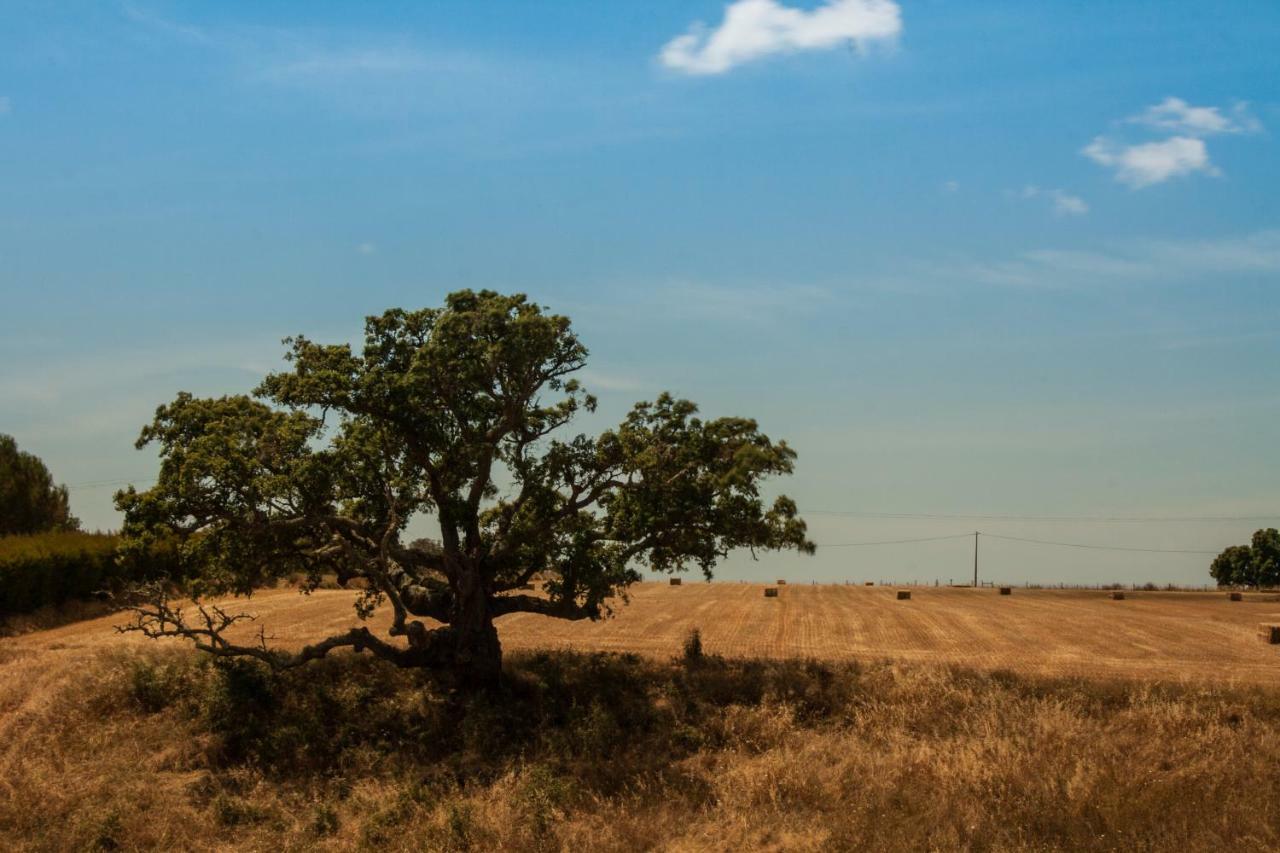 Vales Do Alentejo Pensionat Bicos Exteriör bild